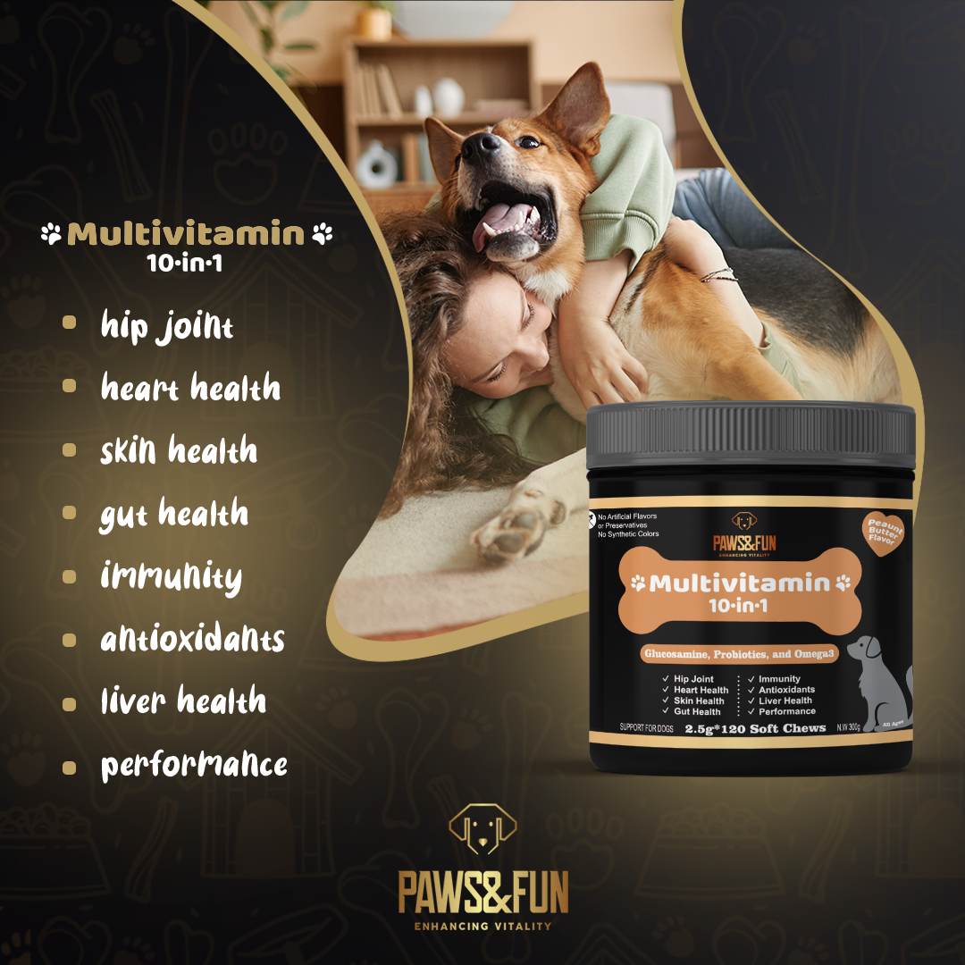 Paws&Fun – Dogs Supplement Multivitamin + Glucosamine for Hip & Joint + Probiotics for Digestion + Omega 3 Salmond Oil for Skin and Coat; 10 in 1 Chews (Peanut Butter 120ct)